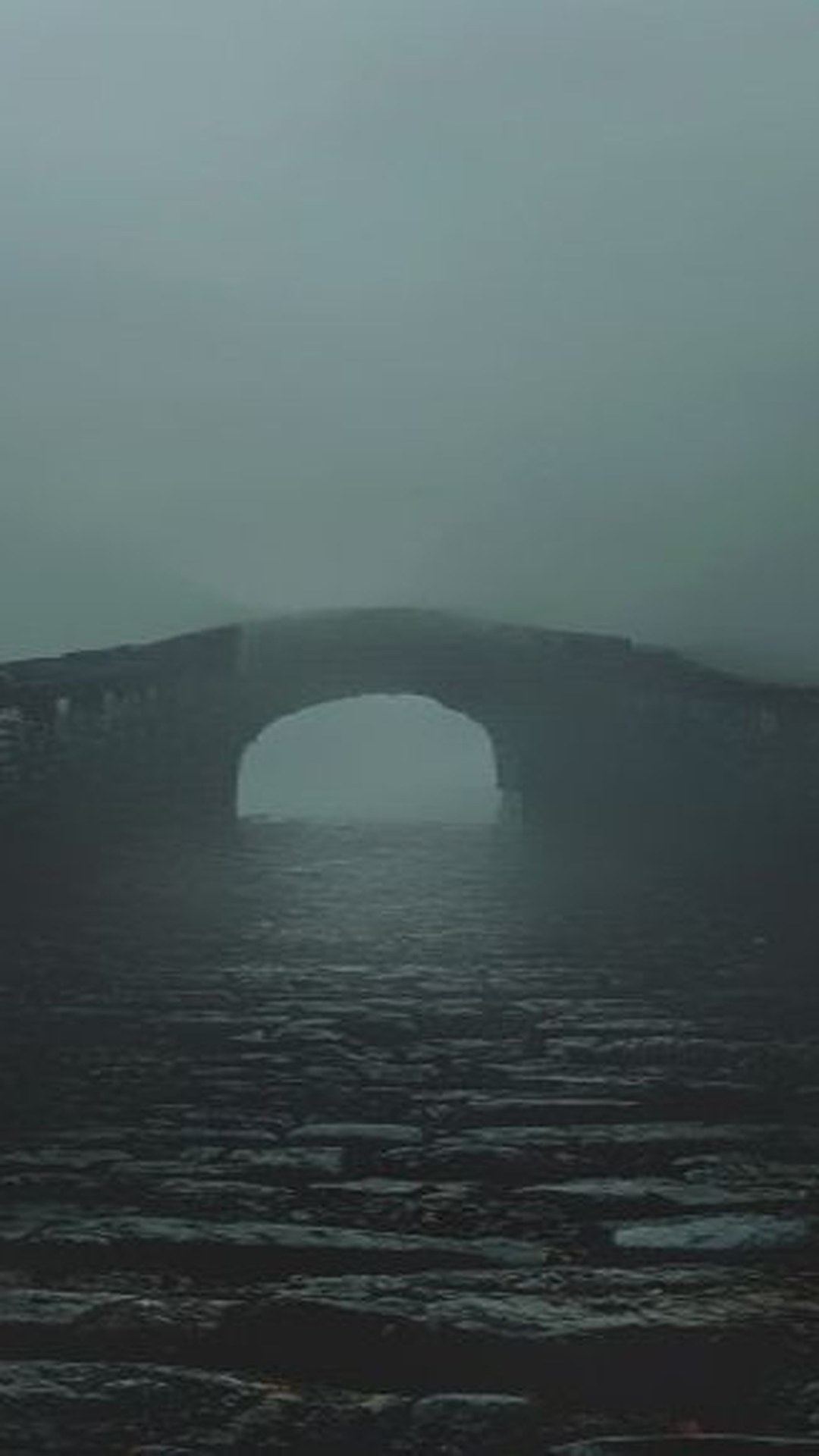El Misterio del Puente Overtoun: El Salto Inexplicable de los Perros